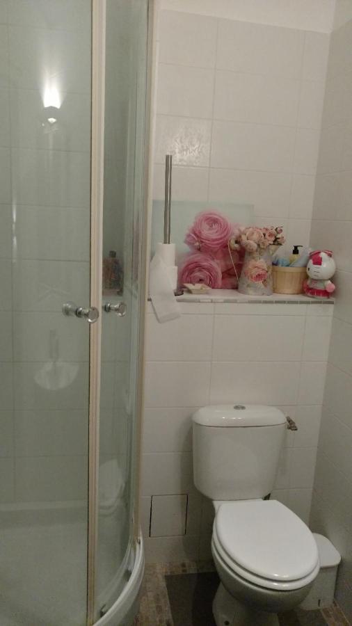 דירות Flat Dijon Down Town מראה חיצוני תמונה